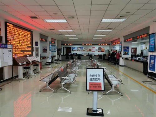 西集鎮政務服務中心推出定制版延時服務，周末可辦理經濟與商務信息咨詢